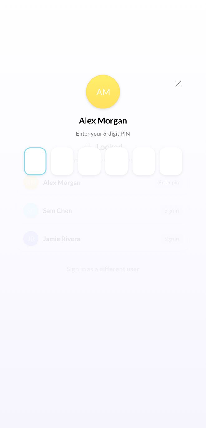 Alex Morgan's six-digit PIN prompt